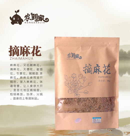 农到家 摘麻花30g 商品图1