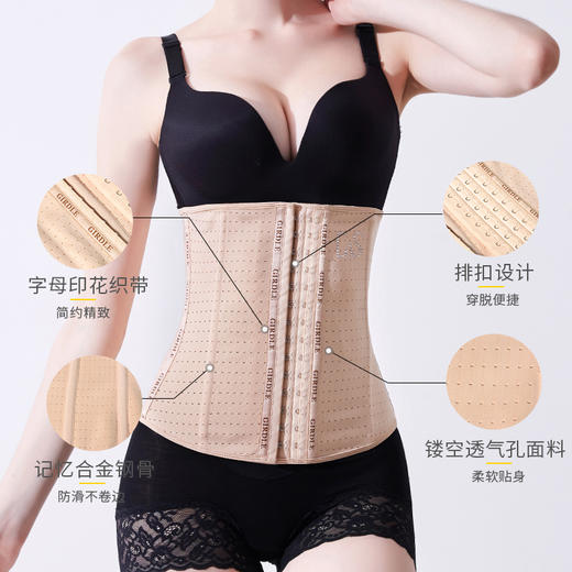 四排扣远红外线腰封 腰背夹6201 商品图2