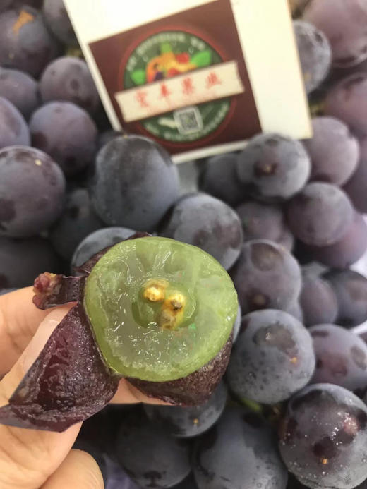宏丰精选辽宁巨峰葡萄口感甜好剥皮