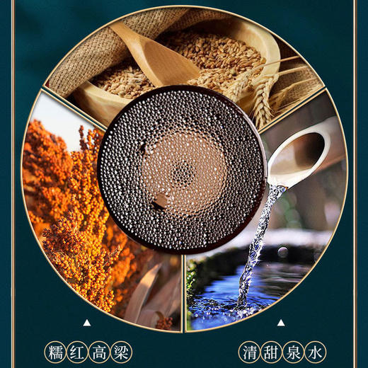 国窖1573艺术新春酒（东风面张晓刚版） 52度 500ml 泸州老窖官方形象店 商品图2