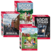 棚车少年1-16册全套英文原版小说 The Boxcar Children Books英语章节桥梁书籍 美国经典儿童读物课外阅读第一二三四季 商品缩略图0