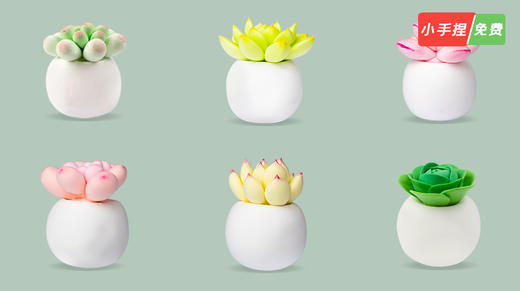 多肉系列粘土教学丨梦想派出品 商品图0
