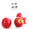 干热河谷露天有机小番茄1.5斤/3斤装  产地：云南丽江【基地直发】 商品缩略图0