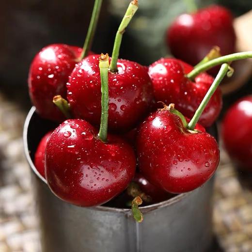 智利进口车厘子新鲜水果大樱桃2J大果当季水果5斤装 商品图2