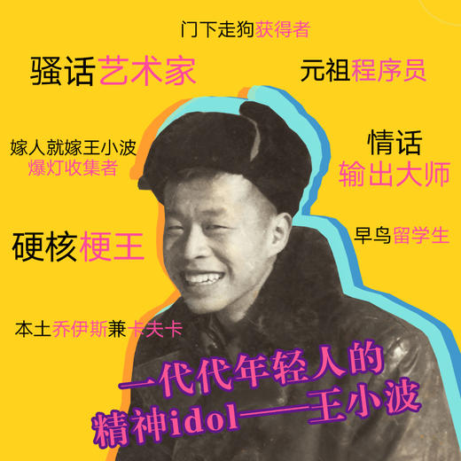 我的精神家园 王小波著 现当代小说书籍 商品图4