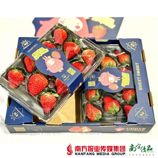 【珠三角包邮】友印象金色庄园红颜草莓  11-15颗/盒 2盒/箱（1月7日到货） 商品图0