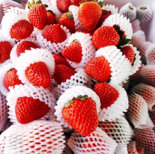 【顺丰为主】四川大凉山露天德昌草莓、果肉饱满，果汁丰富，大人小孩都爱吃【冻果不售后】 商品图6