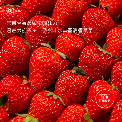 喜气牛牛酸奶草莓蛋糕，可选1.5/2.5/3.5/6磅 商品图6