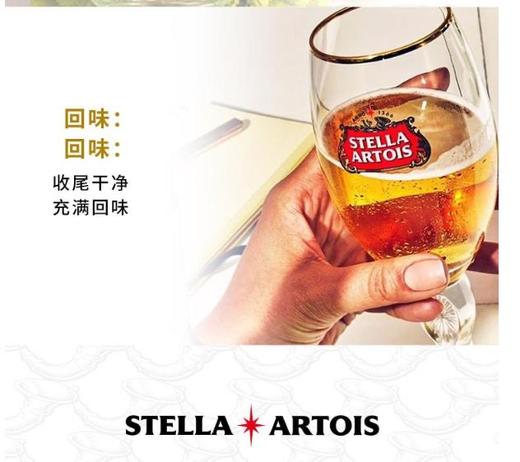 国产时代啤酒听装500ml 商品图2