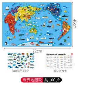TOI磁性世界地图拼图
Magnetic world map puzzle