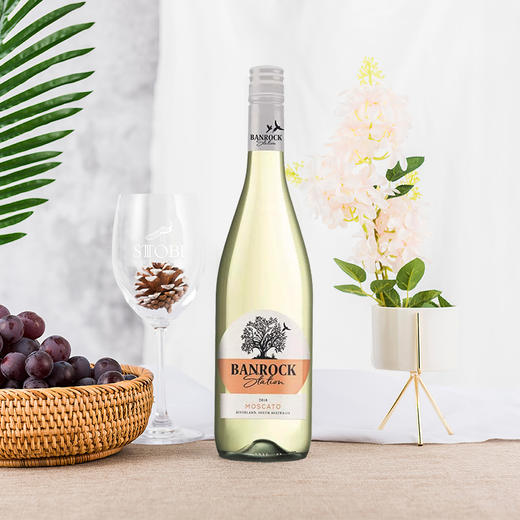 班洛克莫斯卡托白葡萄酒750ml 商品图2
