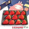 【珠三角包邮】友印象金色庄园红颜草莓  11-15颗/盒 2盒/箱（1月7日到货） 商品缩略图1