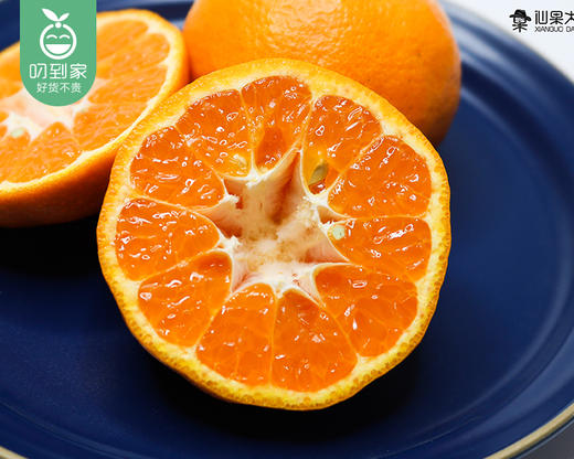 长泰高山芦柑（65-70果）/1份（约1.5kg） 商品图4