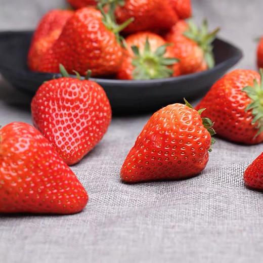 秒杀 19.9元 2斤装 英武草莓 商品图4