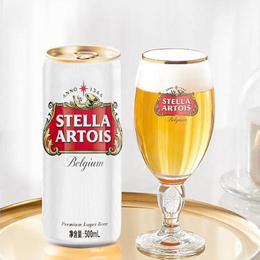 国产时代啤酒听装500ml 商品图0