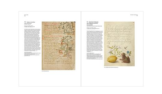 Book of Beasts: The Bestiary in the Medieval World / 野兽之书：中世纪的动物寓言 商品图2