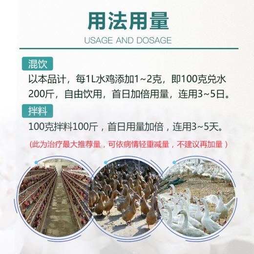 【巨安康】禽用水溶复方磺胺间甲氧嘧啶100g/500g 商品图3