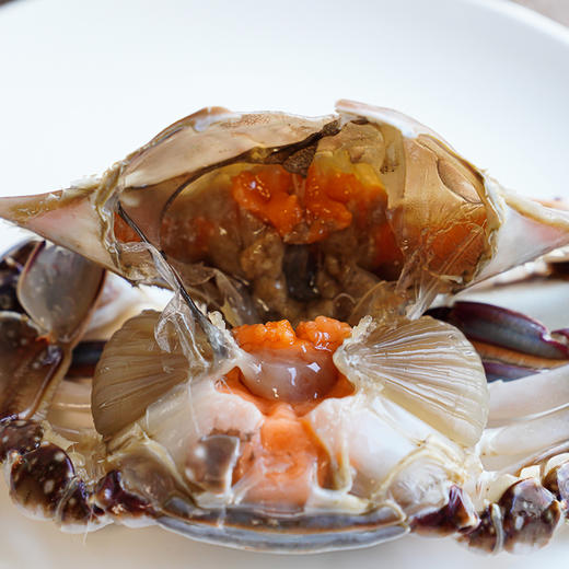 饥饿F姐·舟山呛蟹 红膏呛蟹/飞机呛蟹 冷冻保存200-300克/个 商品图1