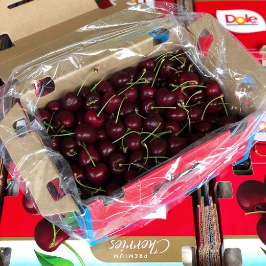 jjd桑缇娜都乐车厘子桑缇娜车厘子硬度高吃口甜都乐大牌送人自吃皆可