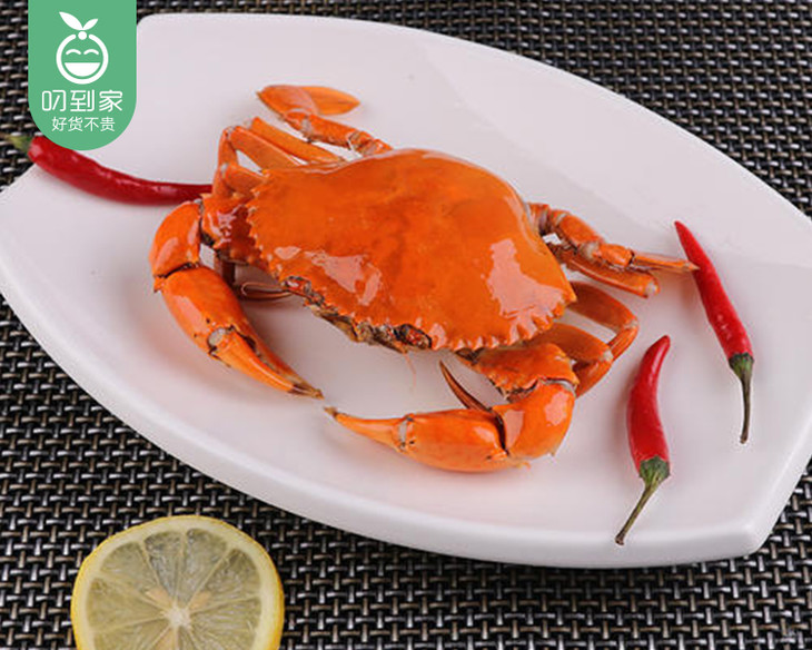 鲜活红树林菜鲟(包活)/1份(2只,共250±20g)