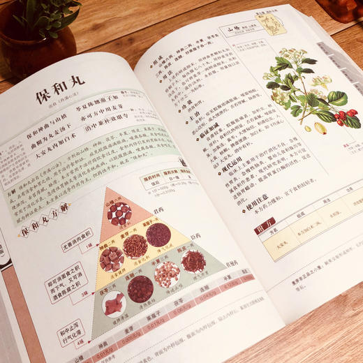 汤头歌诀:精版 商品图2