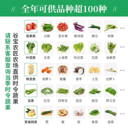 谷宝农匠生态食材体验装家庭宅配体验 SGS认证 新鲜蔬菜套装 配送1次 礼品卡 蔬菜6/7/8斤 商品图1