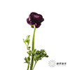 配花 | 洋牡丹紫色 商品缩略图4
