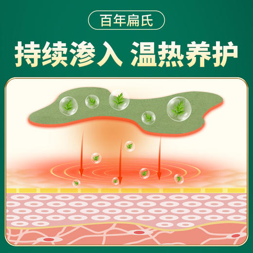 百年扁氏艾草腰椎贴（赠品勿拍） 商品图5