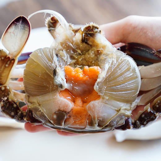 饥饿F姐·舟山呛蟹 红膏呛蟹/飞机呛蟹 冷冻保存200-300克/个 商品图2