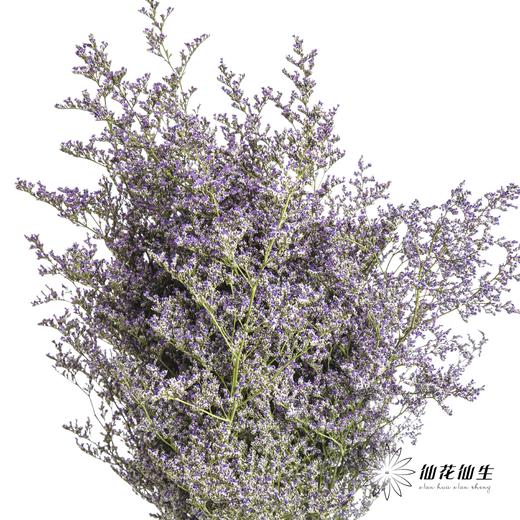 配花 | 情人草原色 商品图0