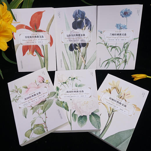 美国经典散文选(英语散文经典名家名译) 商品图5