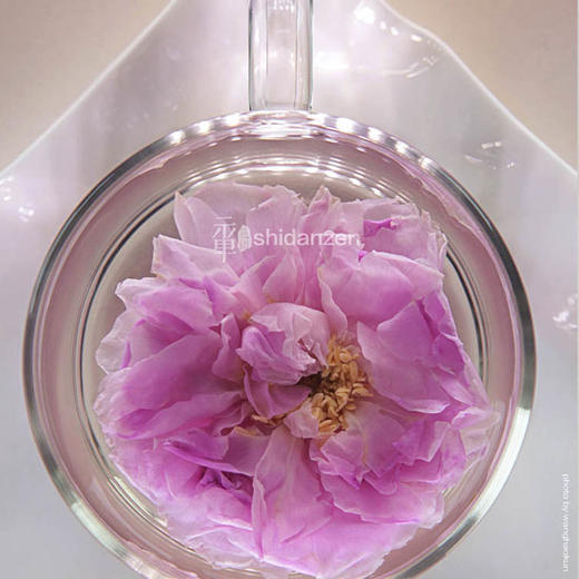 朝露玫瑰 · 花冠王 28朵 零添加 天然香气浓郁（中通发货） 商品图4