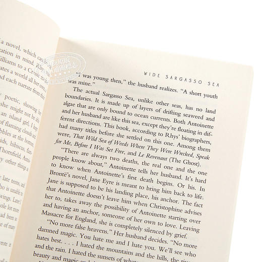 预售 【中商原版】藻海无边 英文原版 Wide Sargasso Sea Jean Rhys 商品图3