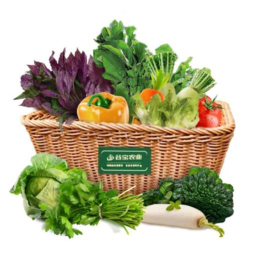 谷宝农匠生态食材体验装家庭宅配体验 SGS认证 新鲜蔬菜套装 配送1次 礼品卡 蔬菜6/7/8斤 商品图0
