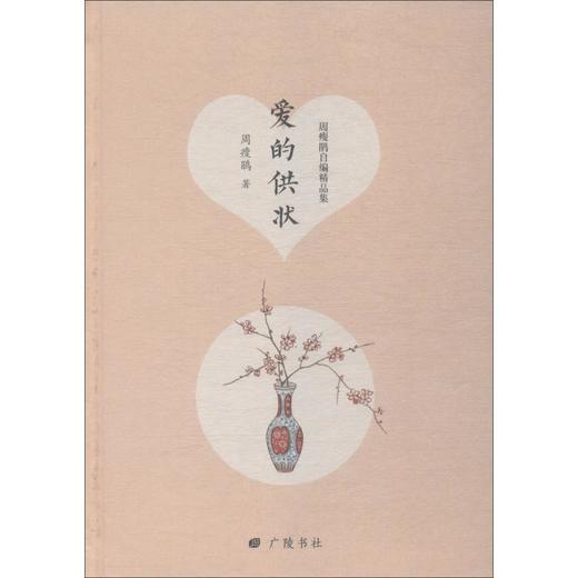 爱的供状 商品图0