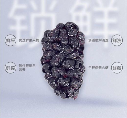 愿臻锁鲜冻干红枣40g无核酥脆 商品图6