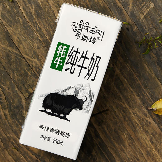 迦境青藏祁莲牦牛奶纯牛奶无添加剂来自高原的全脂牛奶早餐奶250ml8盒
