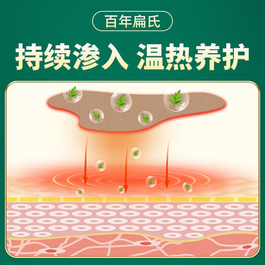 百年扁氏艾草颈椎贴（赠品勿拍） 商品图2