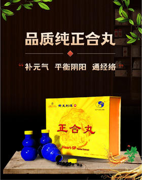 乐善堂皇太利德正和丸