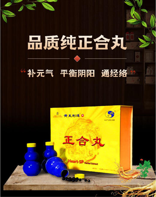 乐善堂皇太利德正和丸 商品图0
