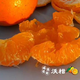 广西沃柑