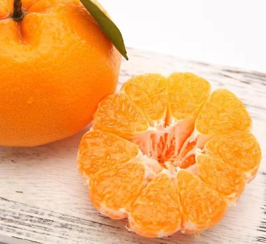 高山晚熟春见耙耙柑 （套袋果）| 山人优选，大果粒，无籽化渣，纯甜无酸，口感纯正，均匀饱满，高维C，不上火~ 商品图1