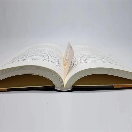 《罗曼罗兰文集》精装全10册 商品图5