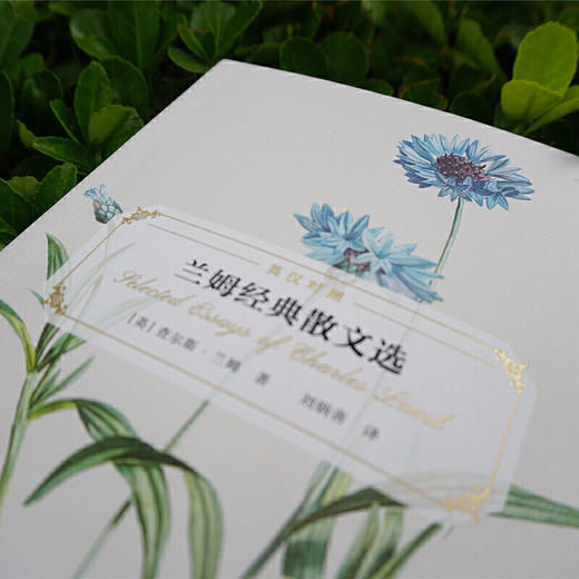 兰姆经典散文选(英语散文经典名家名译) 商品图2