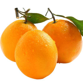 【10元4斤】纽荷尔橙（1500351）