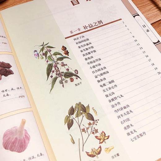 汤头歌诀:精版 商品图1