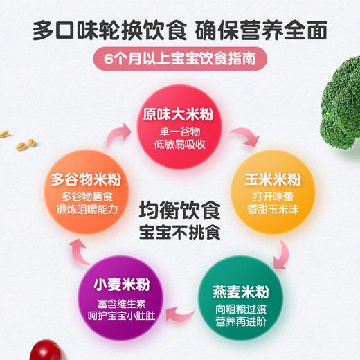 爱思贝(EARTH’S BEST) 宝宝米粉 地球世界米粉婴儿辅食米糊 高铁有机大米粉 商品图1