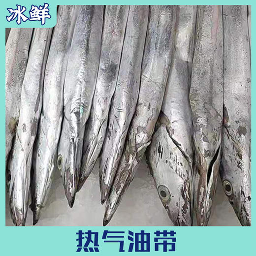 【野生】冰鲜（热气）油带鱼 商品图0