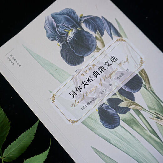 吴尔夫经典散文选(英语散文经典名家名译) 商品图2