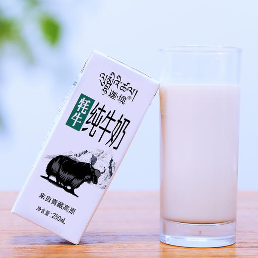 迦境青藏祁莲牦牛纯牛奶 无添加剂来自高原的全脂牛奶早餐奶250ml×8